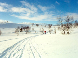 skiing