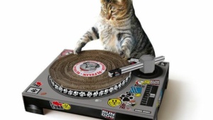 Turntable Scratching Post